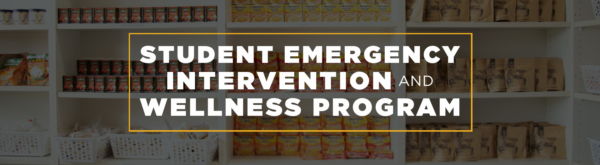Student Emergency Intervention And Wellness Program Banner