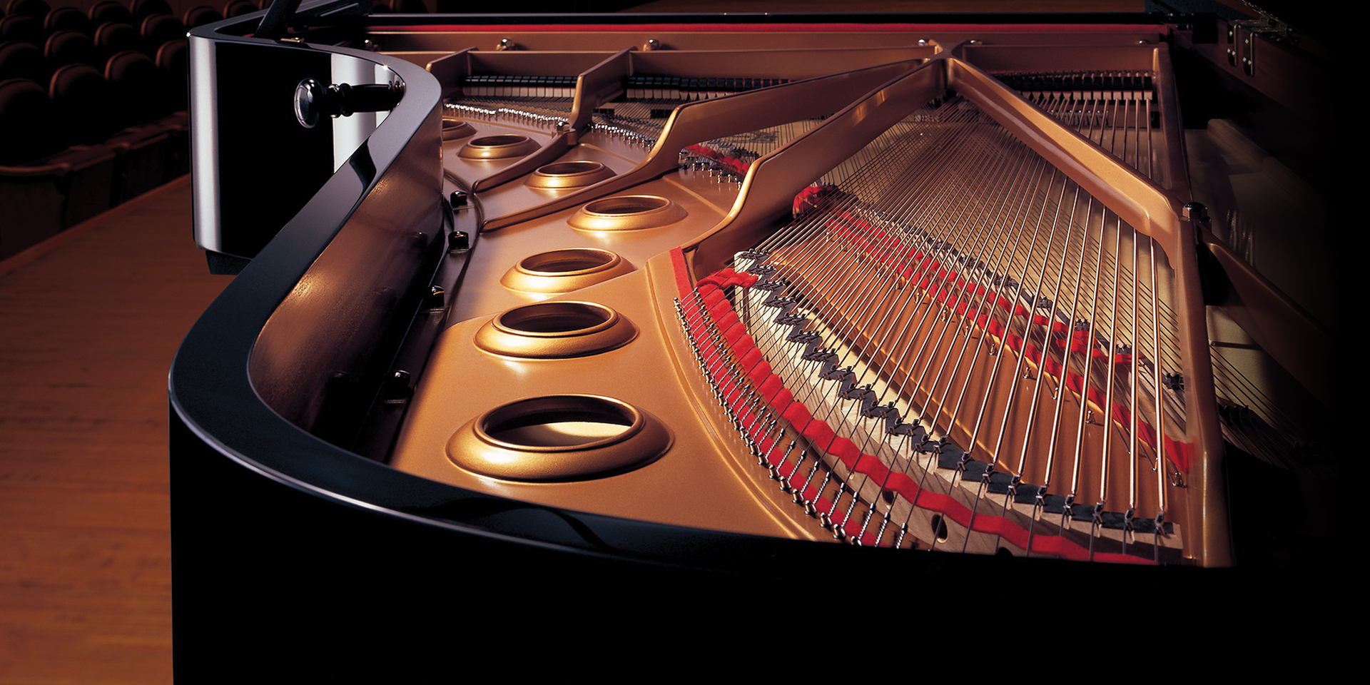 The inside of a grand piano.