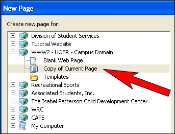 New page dialog box. Choose "Copy of Current Page" and enter a page title for new page.