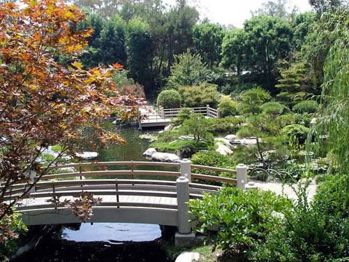 The Japanese Garden 2