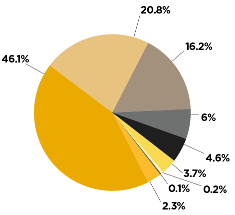 Distribution of Student Diversity