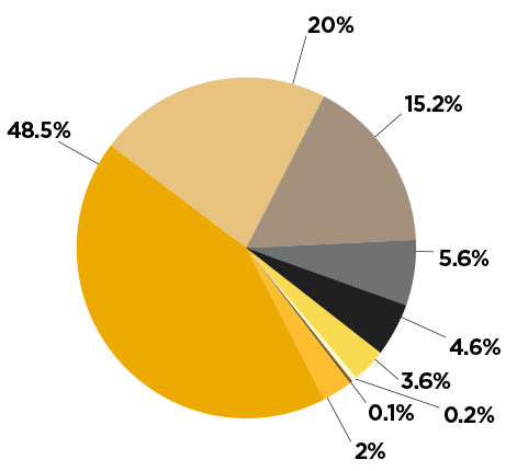 Distribution of Student Diversity
